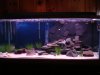 The 75 gallon Tang tank.jpg