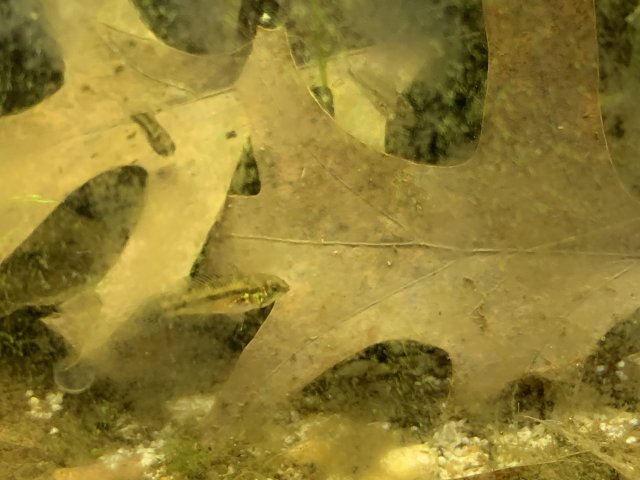 28AD5498-714F-4BCA-A8E9-8C5C4DF36A45.jpeg