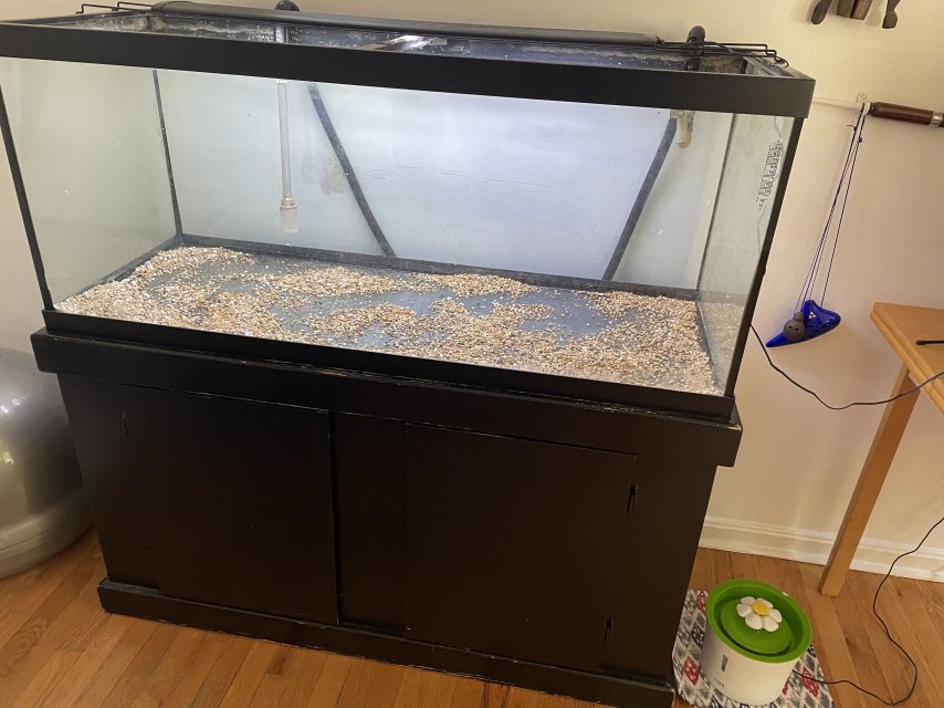 Free 75G aquarium with stand and filter in Rockville | Capital Cichlid ...