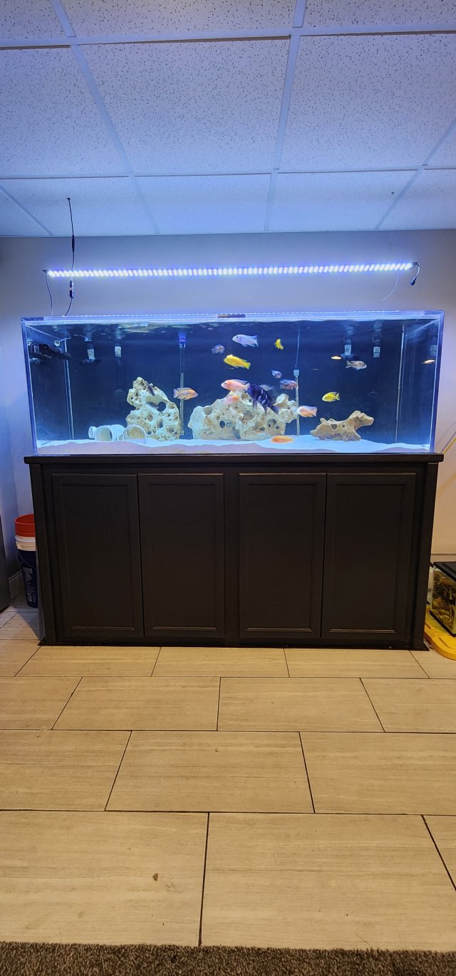 180 gallon acrylic aquarium hotsell