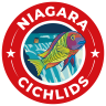 Niagara Cichlids