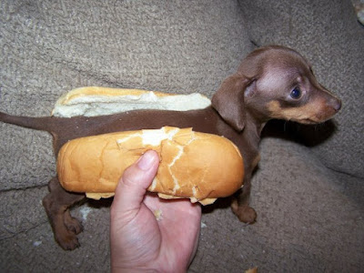 Wiener+Dog.jpg