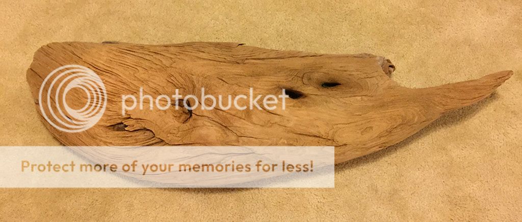 driftwood1c_zps3jwtrlvu.jpg