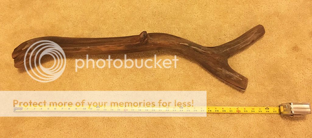 driftwood2_zpswyhma6it.jpg